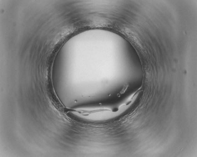 X0000088570539200706151649