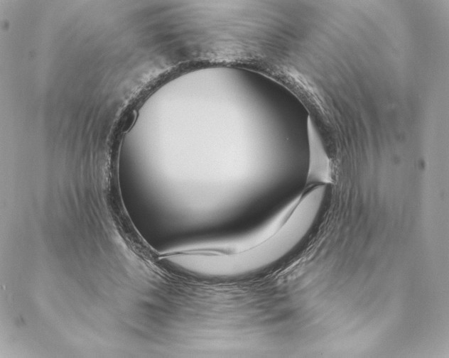 X0000088570540200706151649