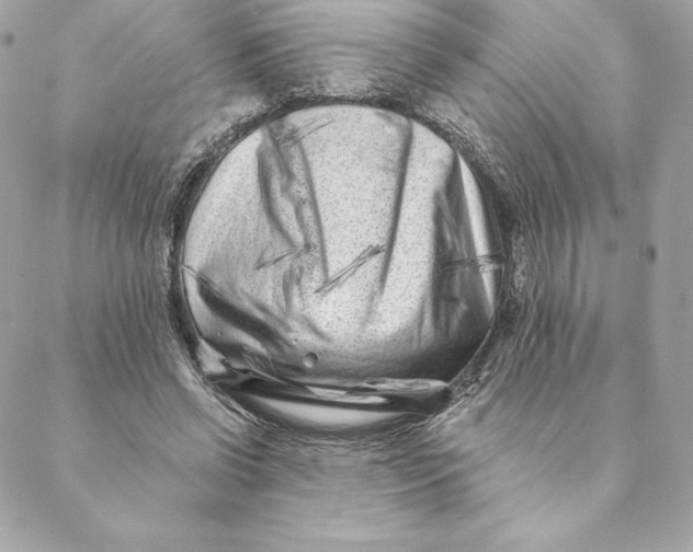 X0000088570542200706151649