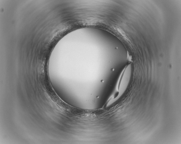 X0000088570543200706151649