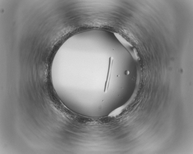 X0000088570544200706151649