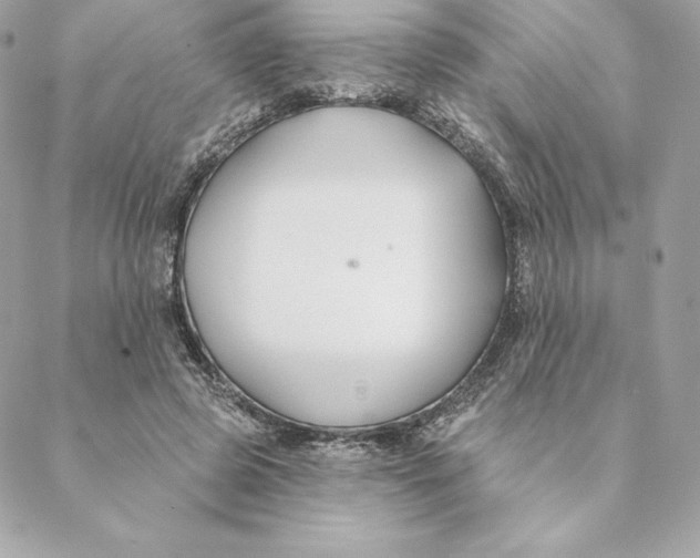 X0000088570545200706151649