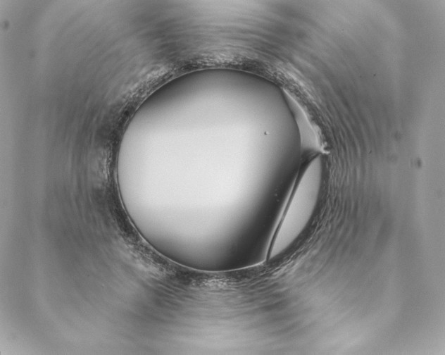 X0000088570546200706151649