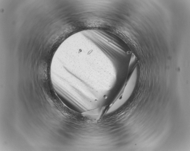 X0000088570547200706151649