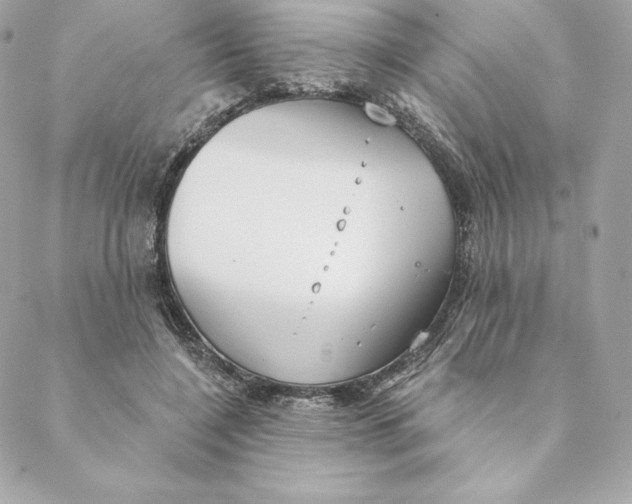 X0000088570548200706151649