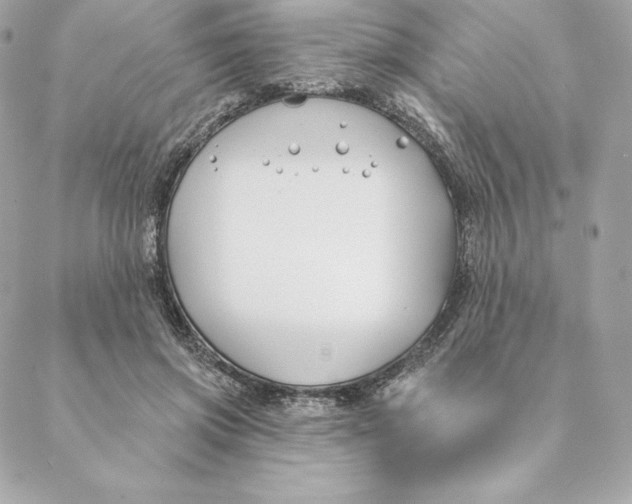 X0000088570549200706151649