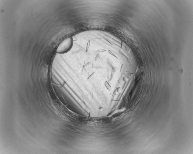 X0000088570550200706151649