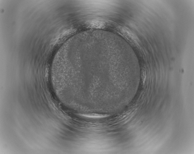 X0000088570551200706151649