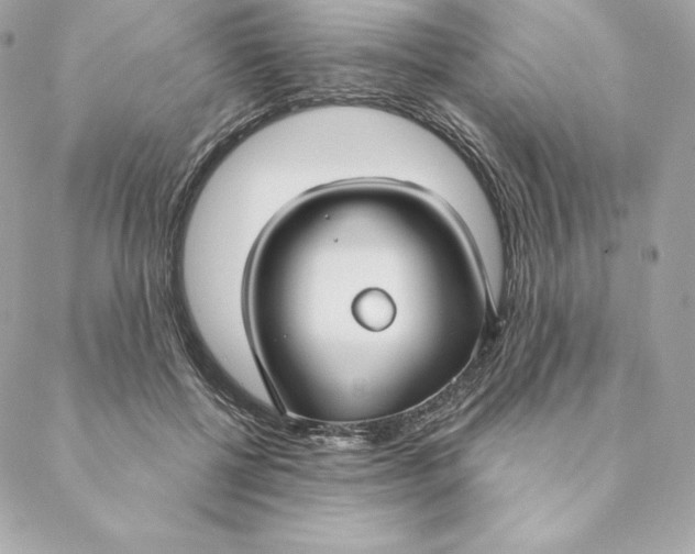 X0000088570552200706151649