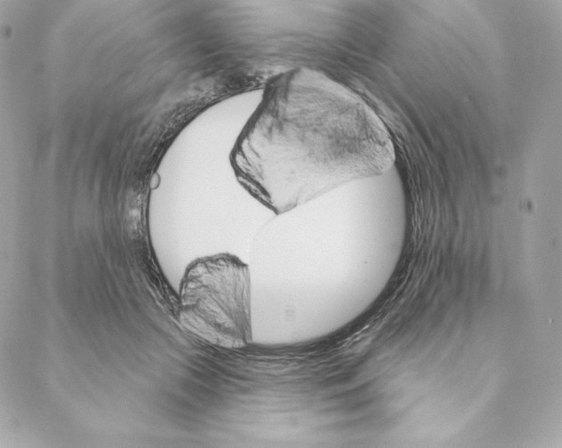 X0000088570553200706151649