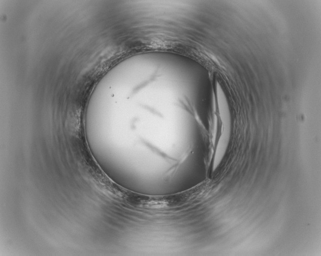 X0000088570554200706151649