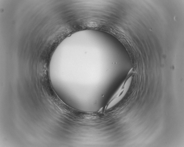 X0000088570555200706151649