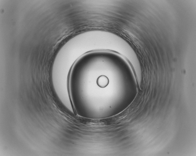 X0000088570556200706151649