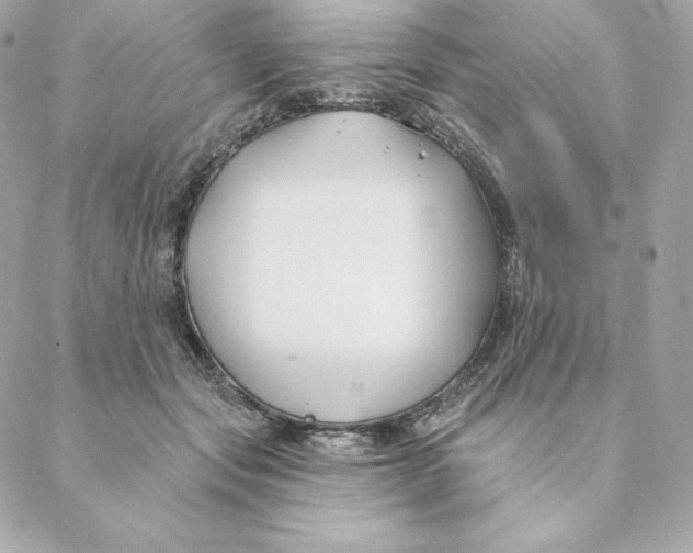 X0000088570557200706151649