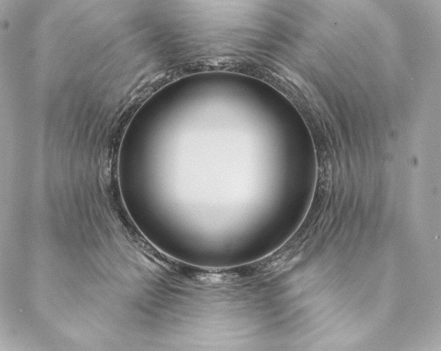 X0000088570558200706151649