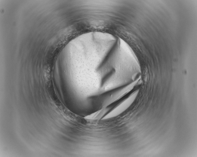 X0000088570559200706151649