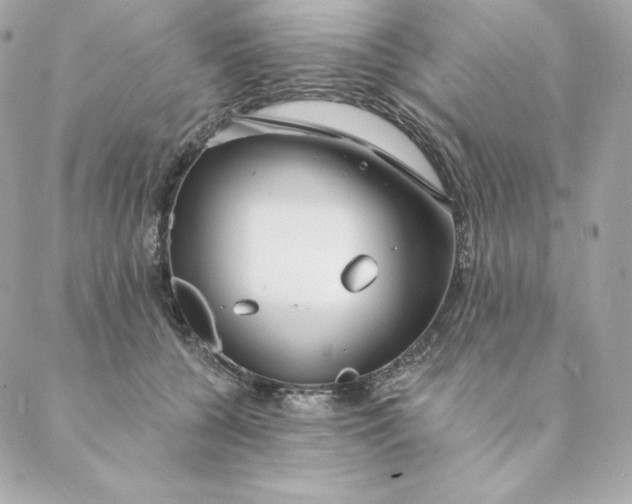 X0000088570560200706151649