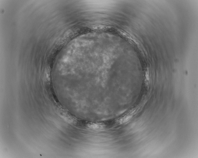 X0000088570561200706151649