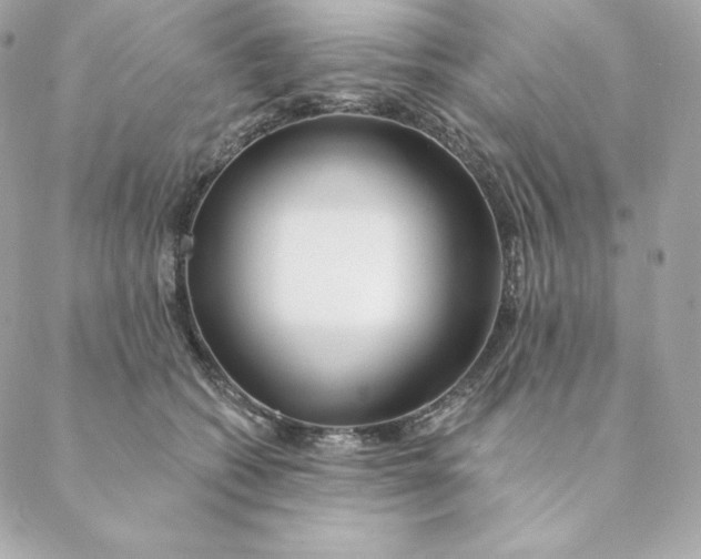 X0000088570562200706151649