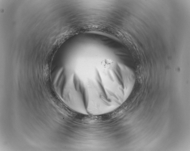 X0000088570563200706151649