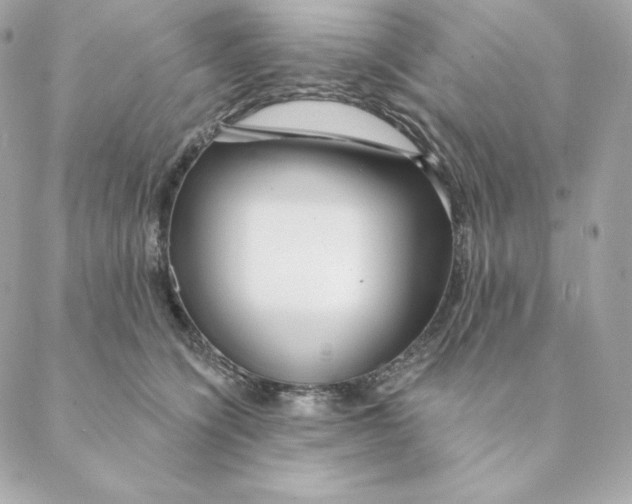 X0000088570564200706151649