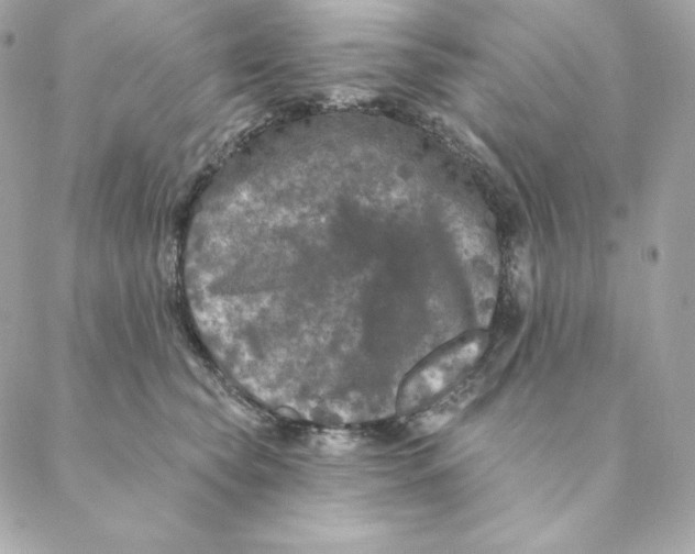 X0000088570565200706151649