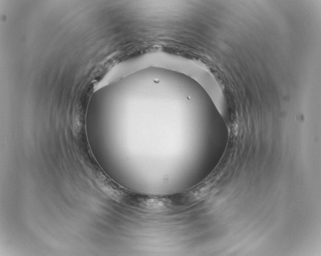 X0000088570566200706151649