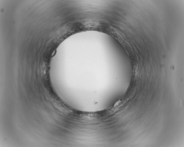 X0000088570567200706151649