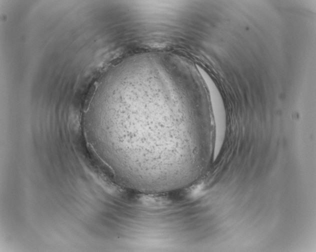 X0000088570568200706151649