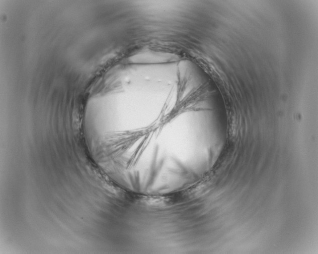 X0000088570569200706151649