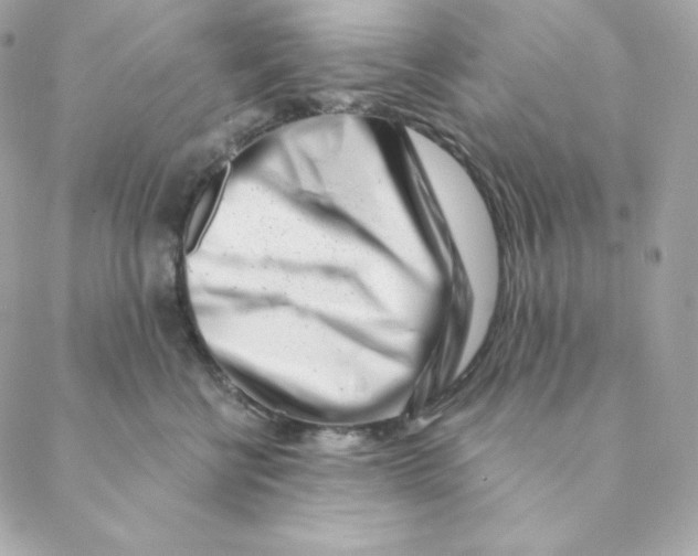 X0000088570570200706151649