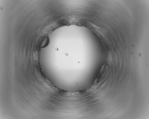 X0000088570571200706151649