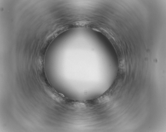 X0000088570572200706151649