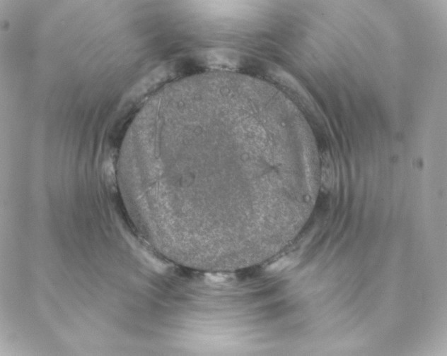 X0000088570573200706151649