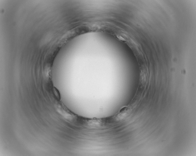 X0000088570574200706151649