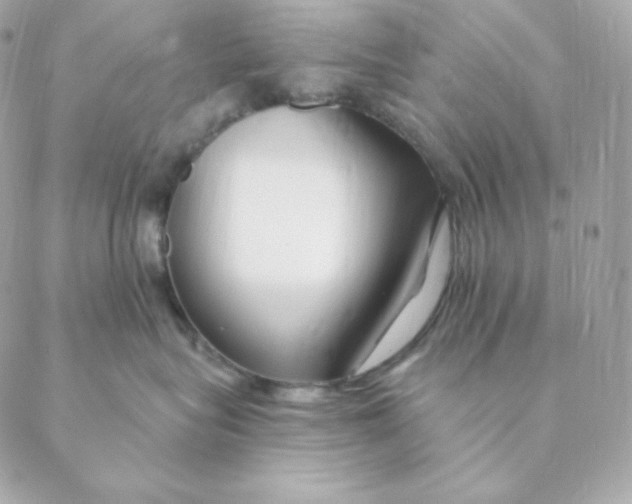 X0000088570575200706151649