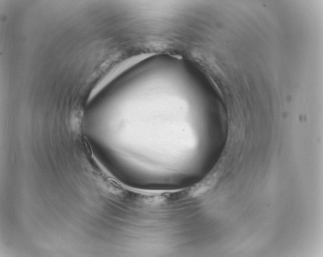 X0000088570576200706151649