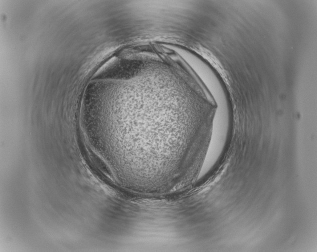 X0000088570577200706151649