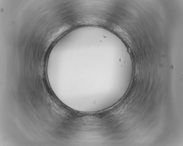 X0000088570578200706151649