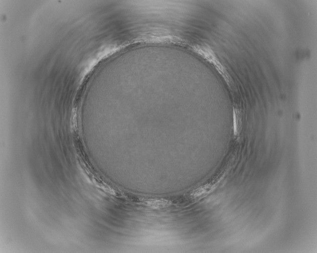 X0000088570579200706151649