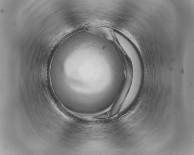 X0000088570581200706151649