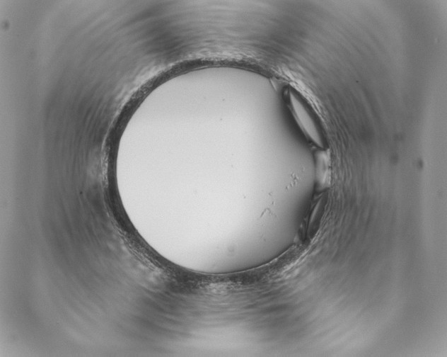 X0000088570584200706151648