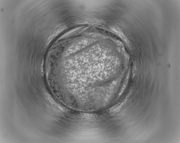 X0000088570585200706151648