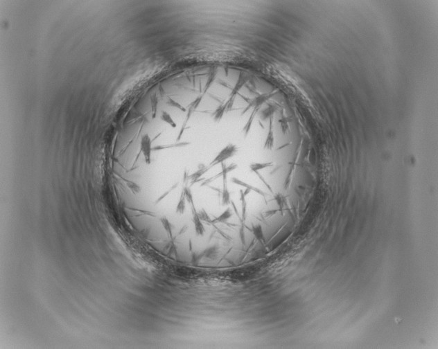 X0000088570586200706151648