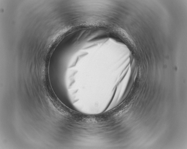 X0000088570588200706151648