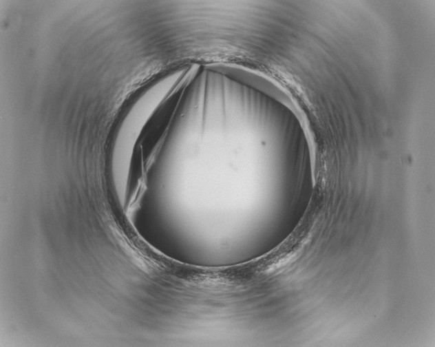 X0000088570589200706151648