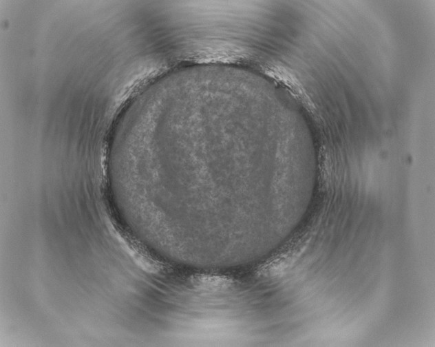 X0000088570590200706151648