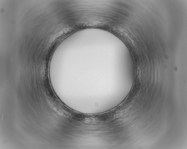 X0000088570591200706151648