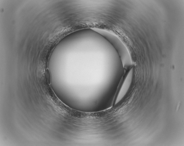 X0000088570593200706151648