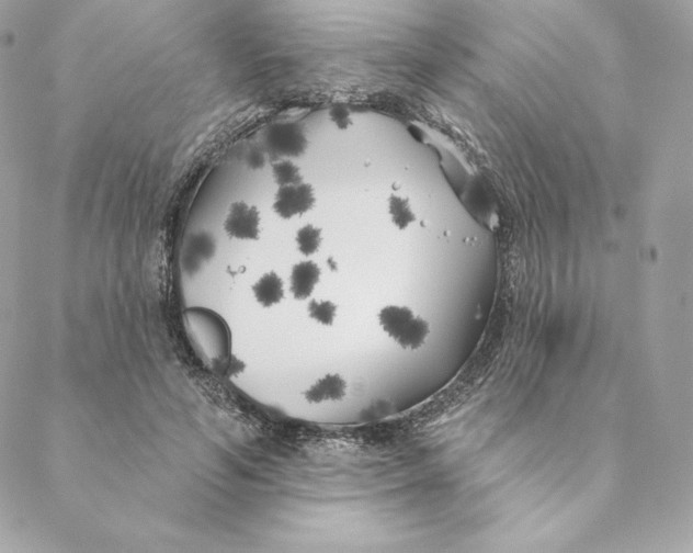 X0000088570594200706151648